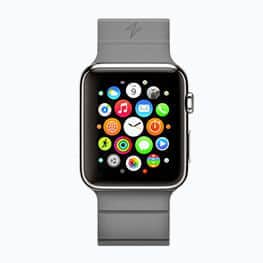 Watch Soprts Edition